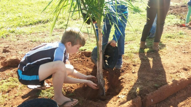 MUDAS DE COQUEIROS SÃO PLANTADAS EM AÇÃO COOPERATIVA
