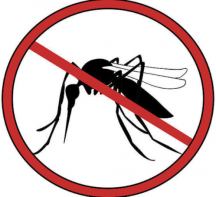 MUTIRÕES CONTRA O AEDES AEGYPTI