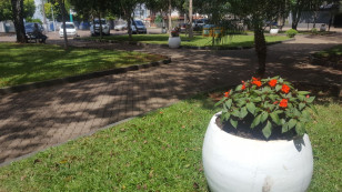 FLORES ENFEITAM A PRAÇA GILDO POSSAMAI