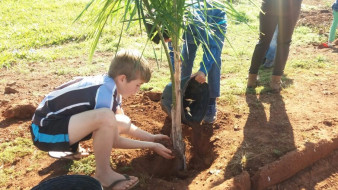 MUDAS DE COQUEIROS SÃO PLANTADAS EM AÇÃO COOPERATIVA